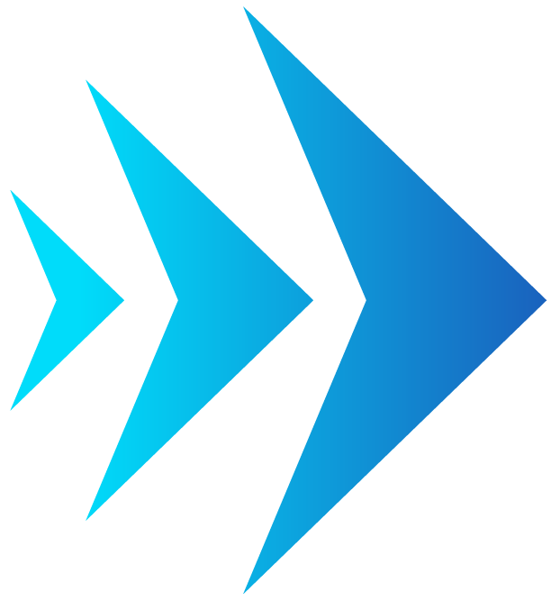 Silurus software logo